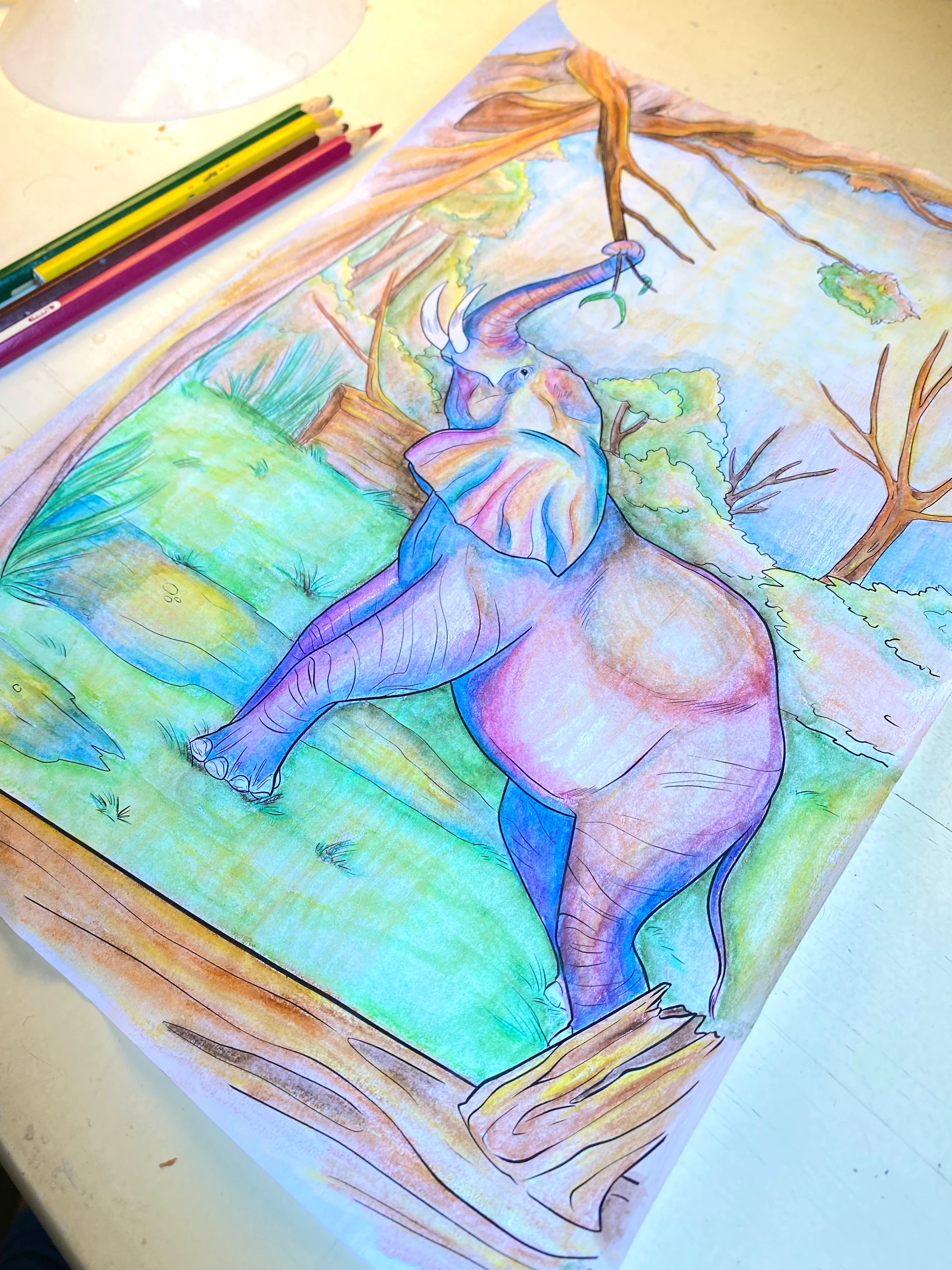 Personal exploration