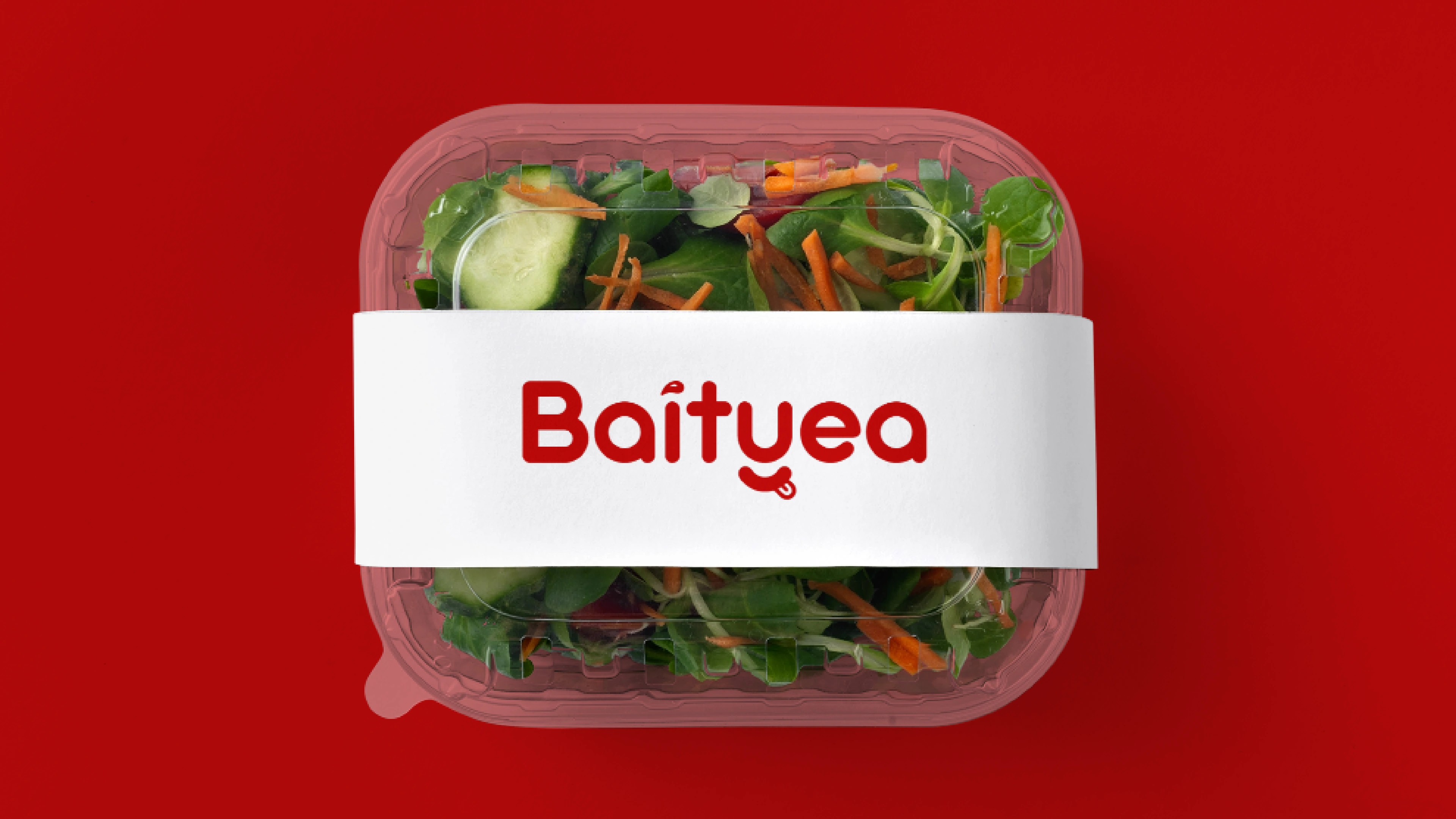 Baityea logo presentation page 10